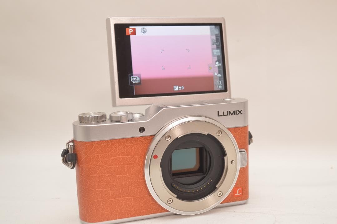 ✨美品✨ Panasonic LUMIX DC-GF9 ミラーレス一眼 ボディ