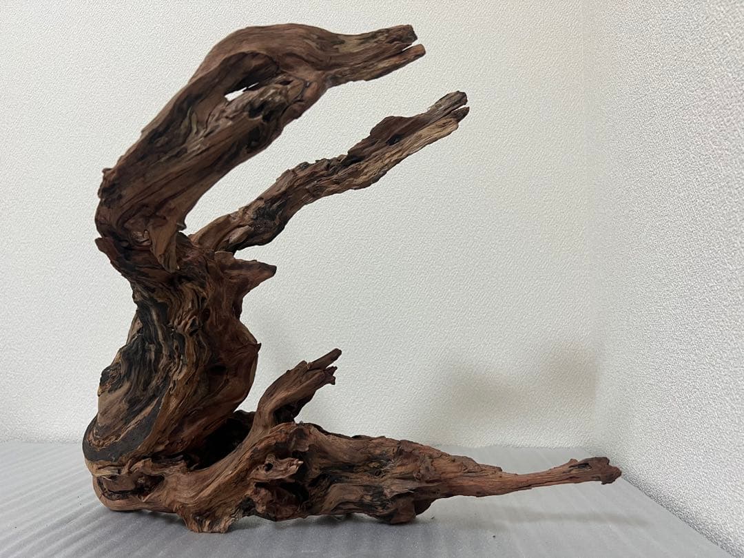 HX-079 流木　ホーンウッド　マシンガンウッド　アクアリウム　ブランチウッド