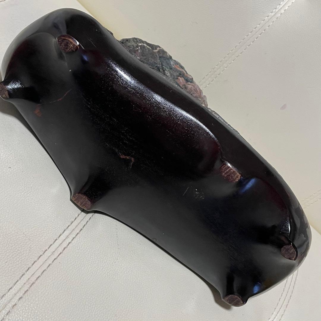 希少 天然 菊花石 観賞石 盆石 水石 木製台座付き 置物 インテリア 特大大型