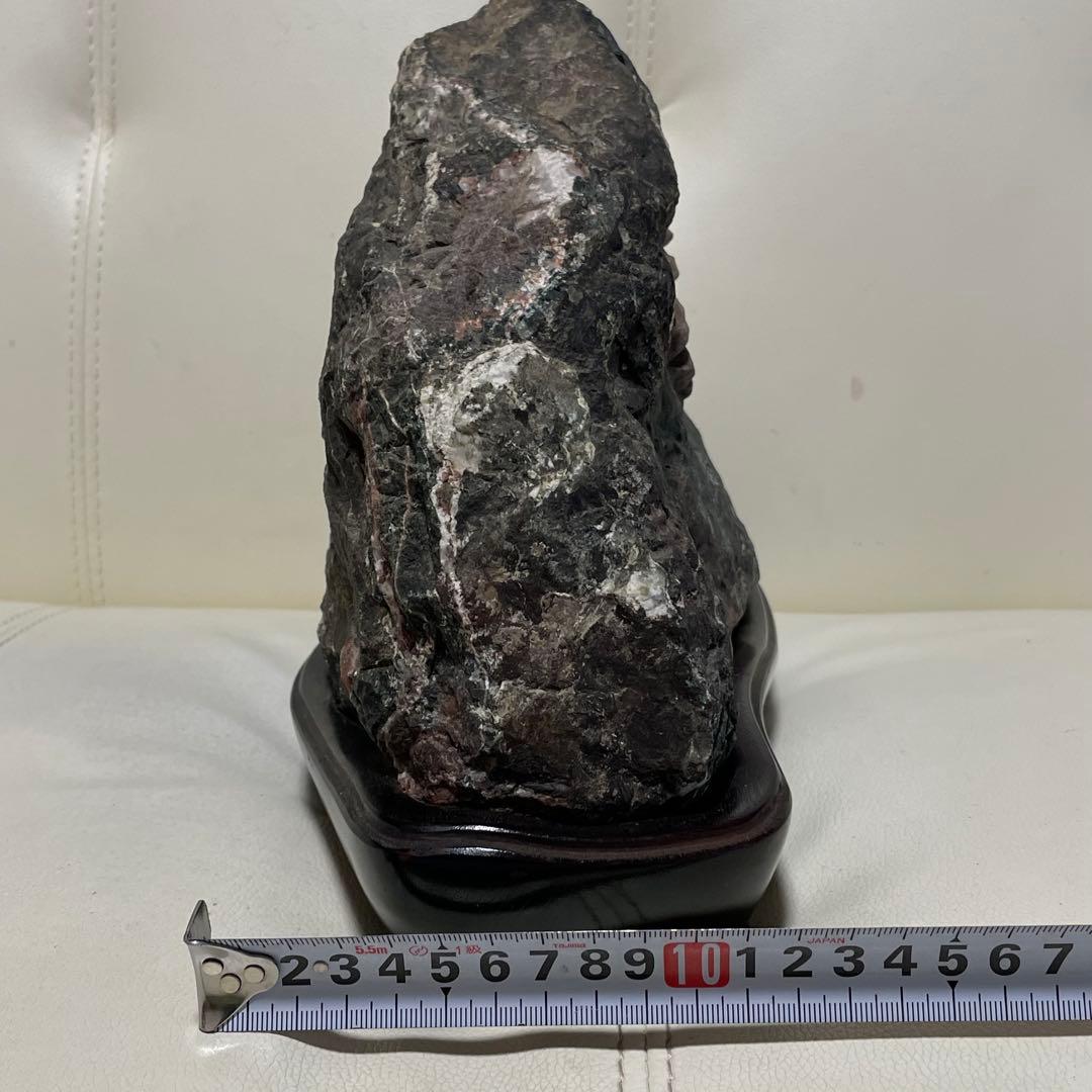 希少 天然 菊花石 観賞石 盆石 水石 木製台座付き 置物 インテリア 特大大型