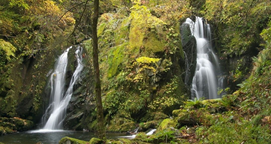 CANON　EOS　10D　初心者デビュー　キャノン　一眼レフ　広角から中望遠