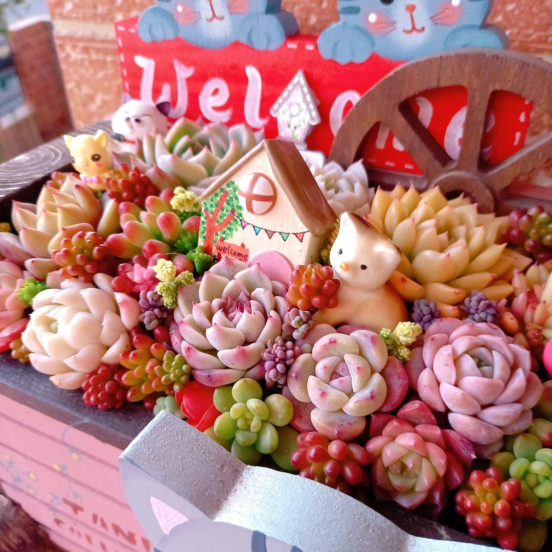 ❤️多肉植物❤️そのまま飾れる寄せ植え❤️サバトラねこちゃん~❤️