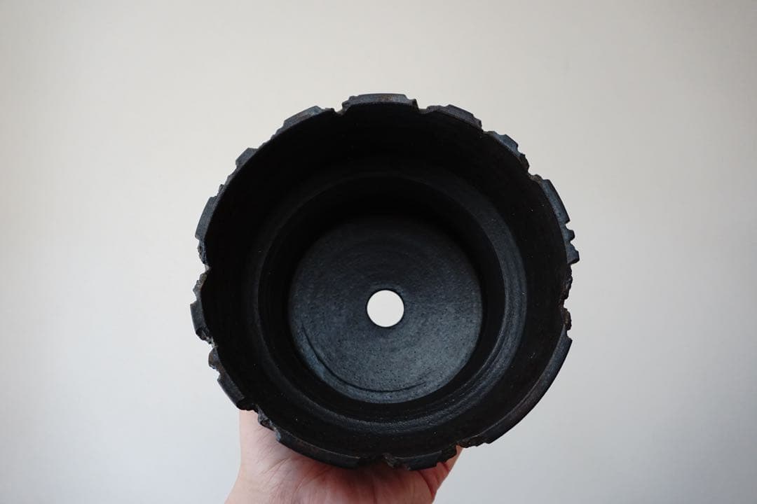 GOUJIN 鉢 KUROKIN BOTANIZE ボタナイズ