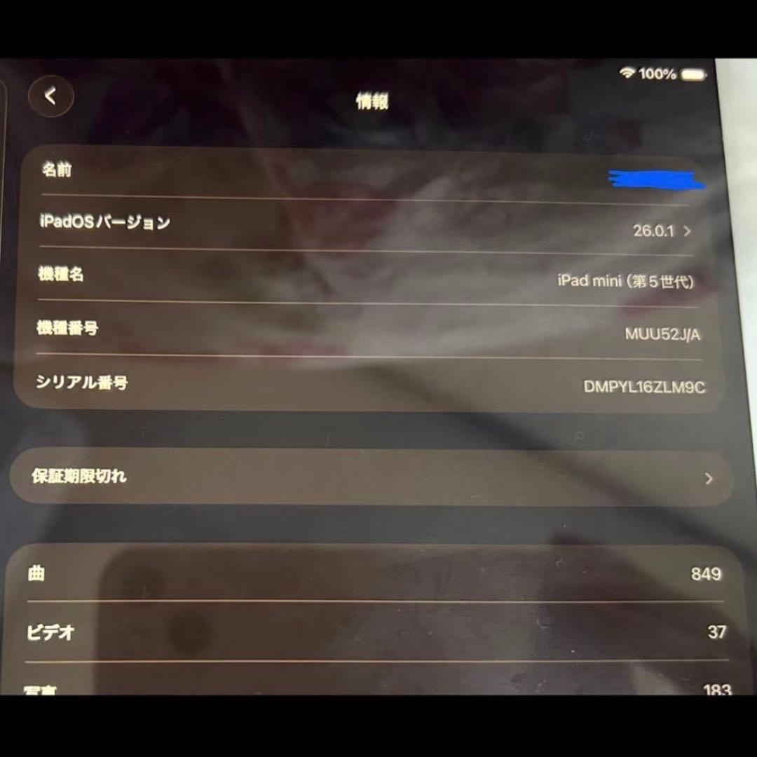 Apple iPad mini 第5世代シルバー ジャンク