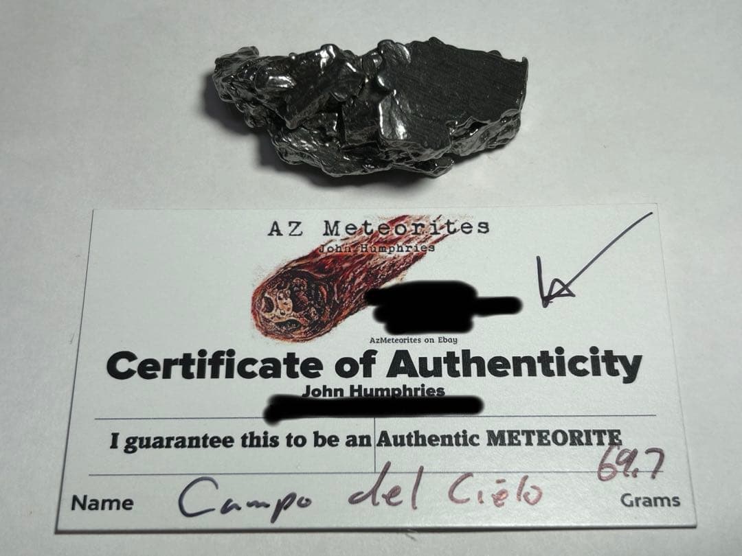 鉄隕石　カンポデルシエロ　エンドカット　オクタヘドライト　69.7g　証明書付き