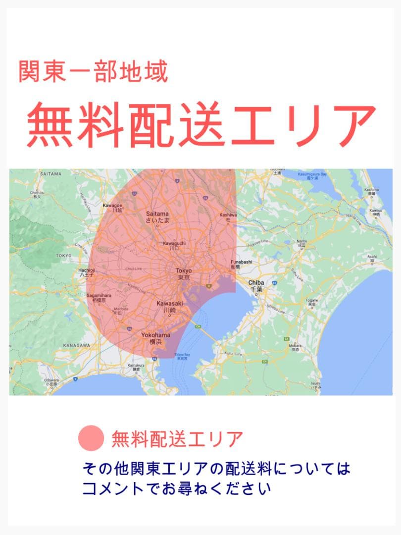 激レアカラー 最高峰バビー ヤマハ 子供乗せ電動アシスト H3386
