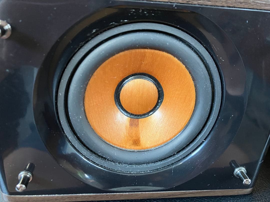 【音出し確認済】JVC ケンウッド ウッドコーンスピーカー SP-EXS3