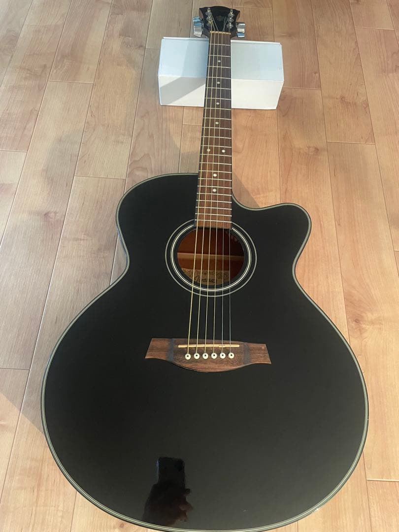 【希少】Ibanezアイバニーズ エレアコ純正ギグケース付アコースティ