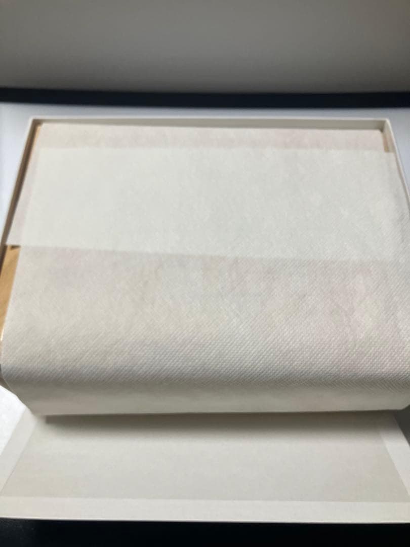 PILOT パイロット 万年筆 キャップレス カエデ 中字　キャップレス50周年