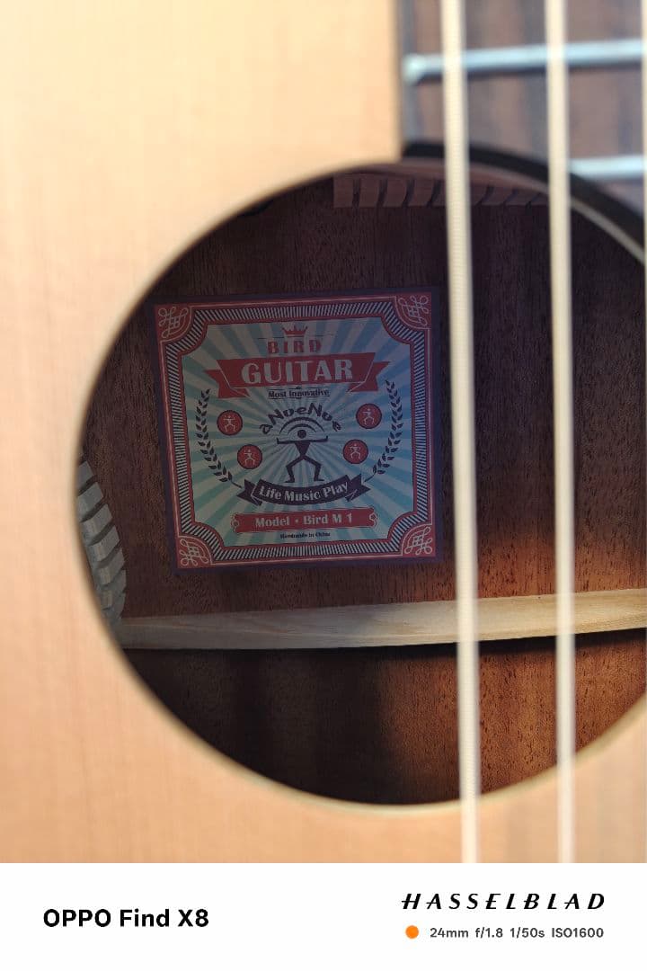 アヌエヌエ aNueNue Bird Guitar aNN-M1