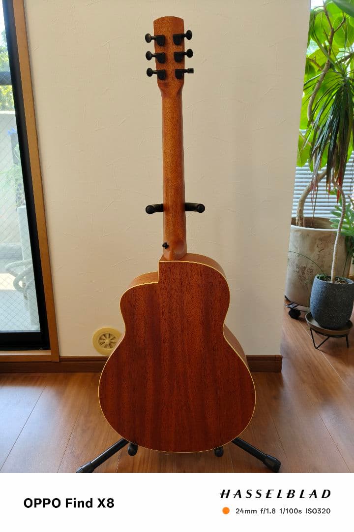 アヌエヌエ aNueNue Bird Guitar aNN-M1