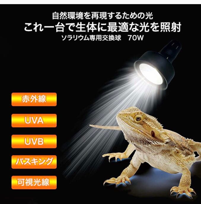 ソラリウム　交換球　70W