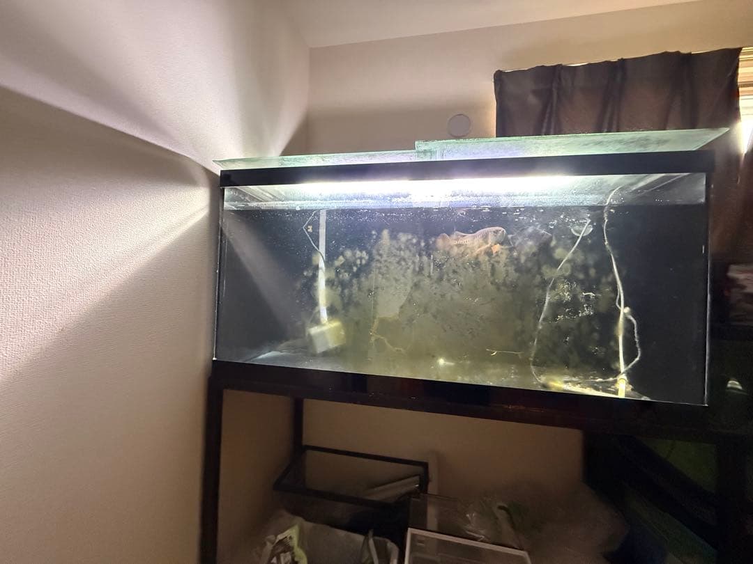 大型アクリル水槽一式ライト以外