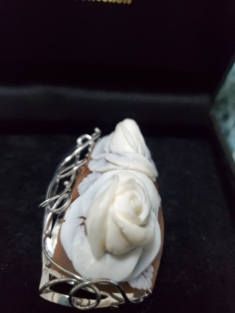 Pyu Collection シェル ローズ