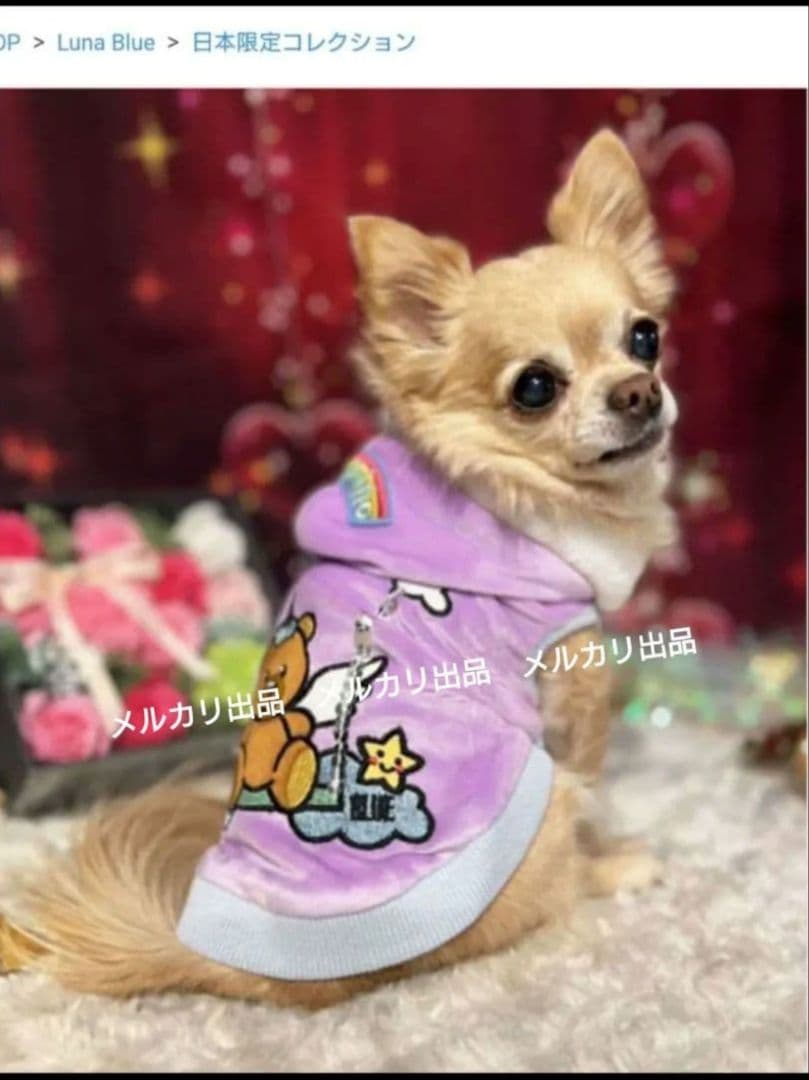 Luna Blue　ルナブルー　パーカー　ユニコーンフーディ　日本限定　Ｓ