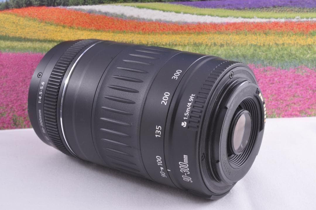 フード付き！Canon キヤノン EF90-300mm 望遠レンズ 整備済み。