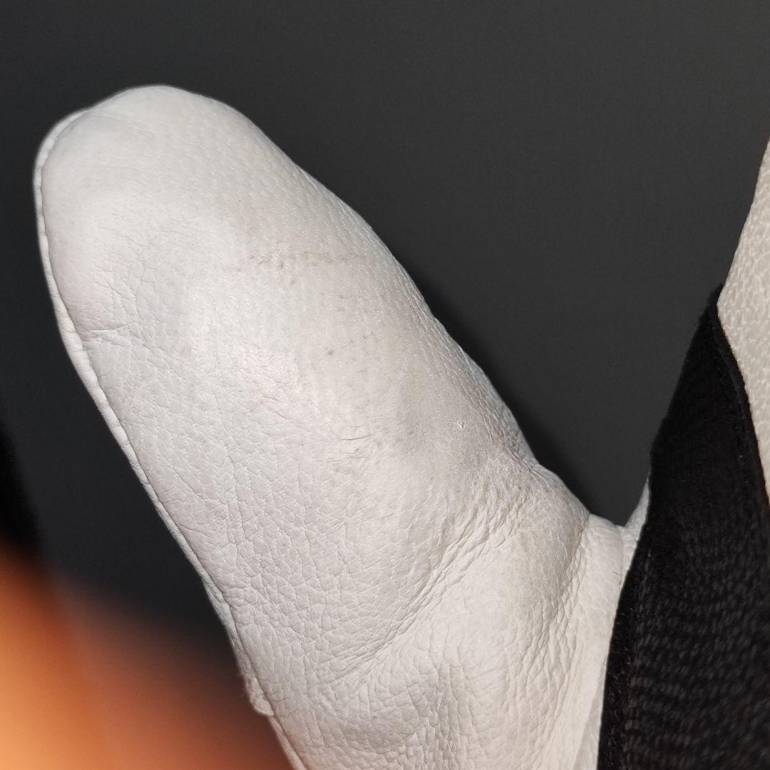 レザーミトン SWANY スワニー Cassius カシウス レディース S