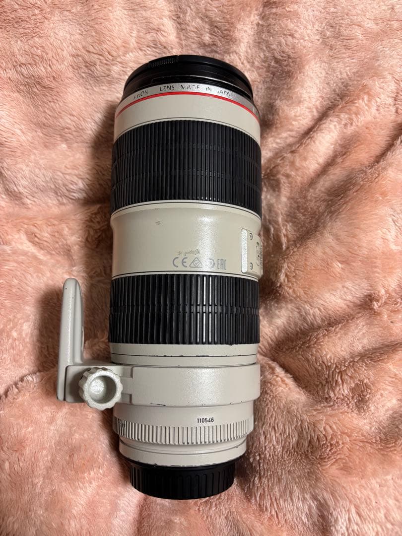 Canon ズームレンズ EF70-200mm F2.8L IS || USM