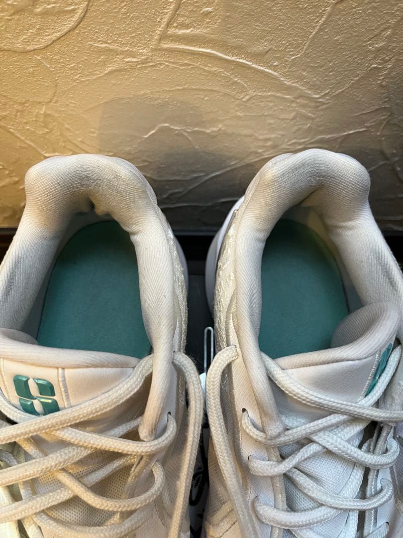 NIKE サブリナ2 EP