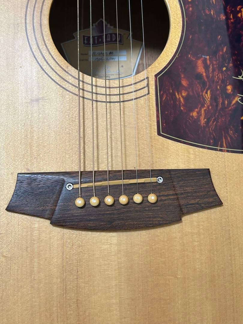 Cole Clark FL2AC3 BM 3WayPU コールクラーク