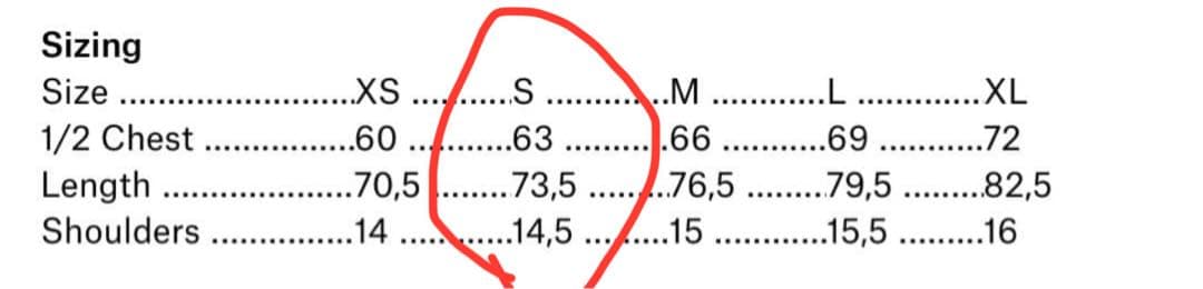 acronym vest V91-WS GRAY S アクロニウム