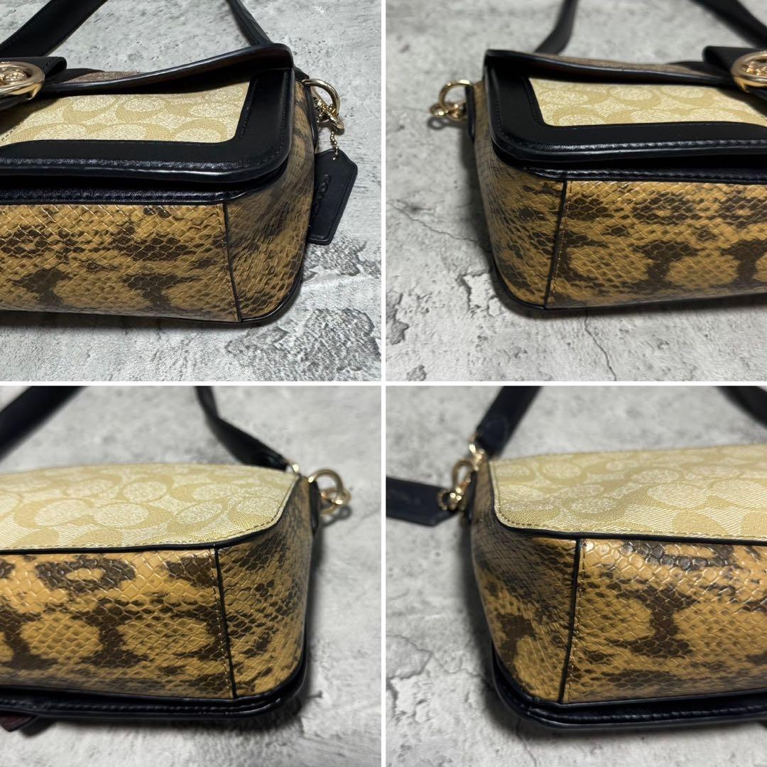 極美品✨️コーチ ワンショルダーバッグ ジョージ タビー PVC レザー 蛇柄 黒