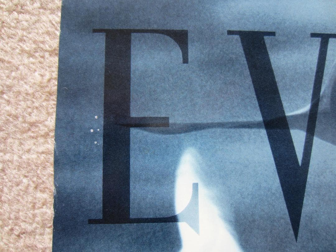 マイケルジョーダン　ポスター MICHAEL JORDAN