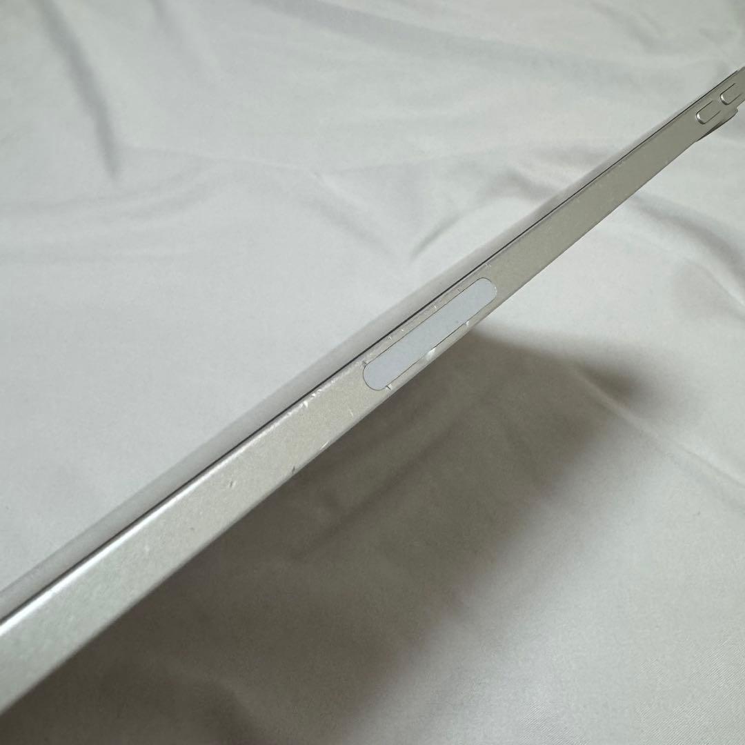 iPad pro 11インチ　第一世代　256GB