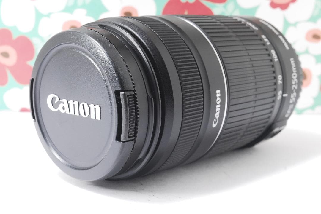 ❤Canon EF-S 55-250mm F5.6 IS II❤手振れ補正❤