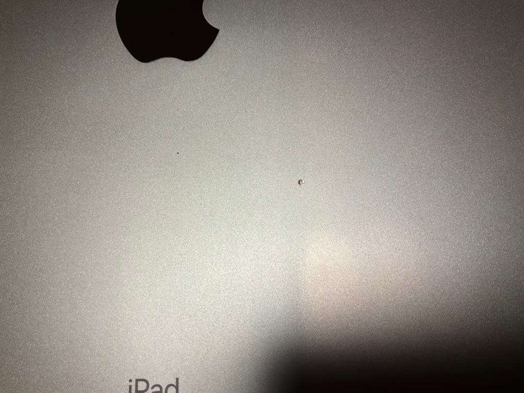 iPad Pro (12.9”) 第3世代 1TB WiFi+Cellular