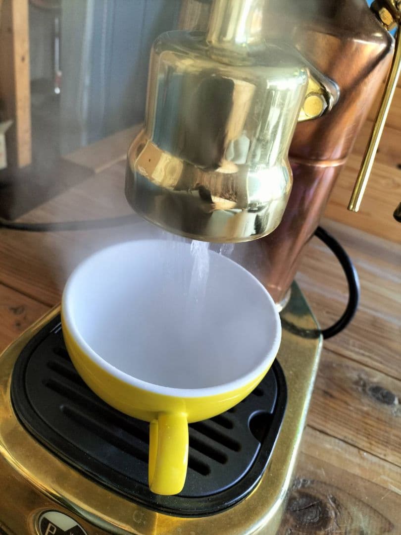 La Pavoni パボーニ プロフェッショナル 真鍮製手動エスプレッソマシン