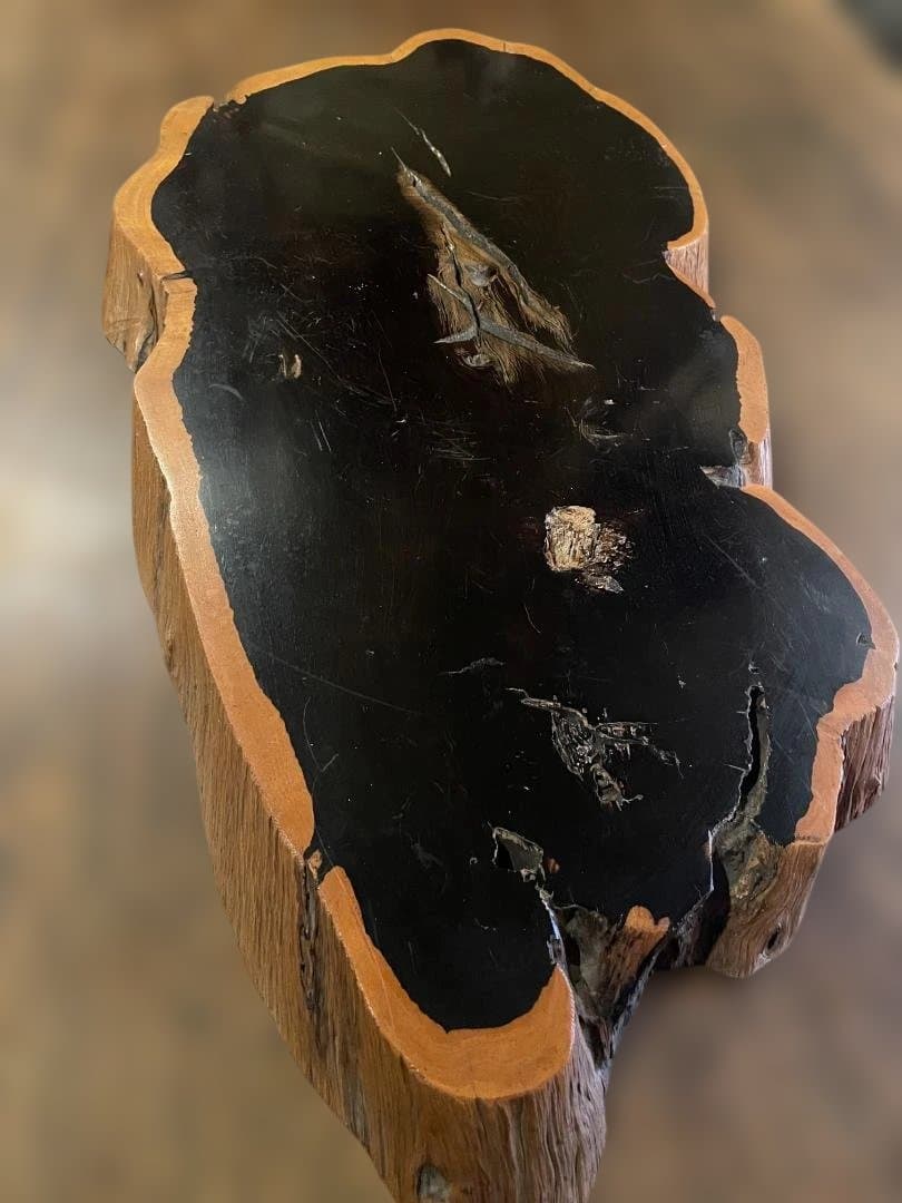 希少 大型 本黒檀 花瓶台 盆栽 花台 飾り台 一枚板 切り株 輪切 華道