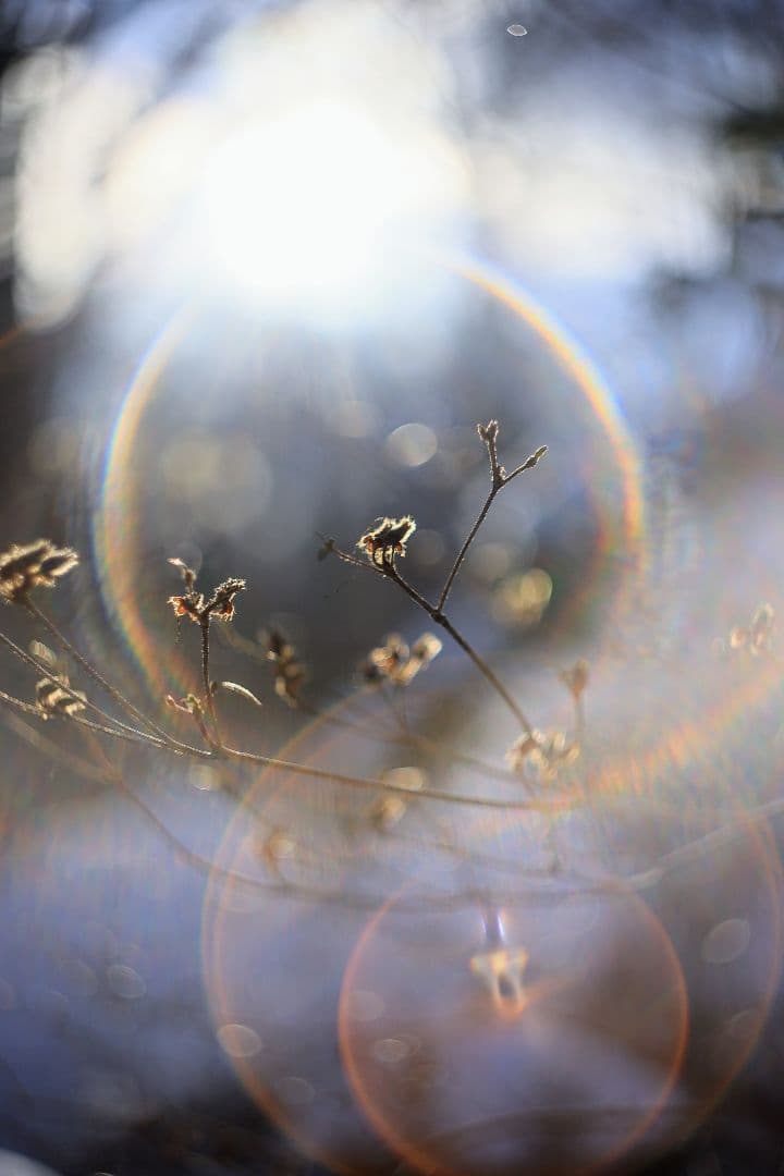 HELIOS-44M-4 58mm F2 《KMZ製》 【良品】