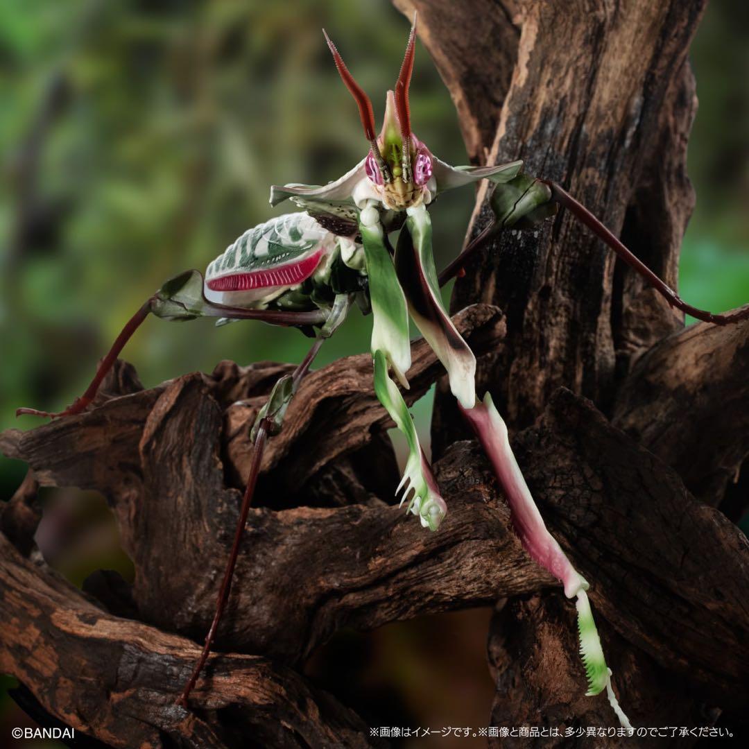 シ*ン様 いきもの大図鑑アドバンス　ニセハナマオウカマキリコンプリート