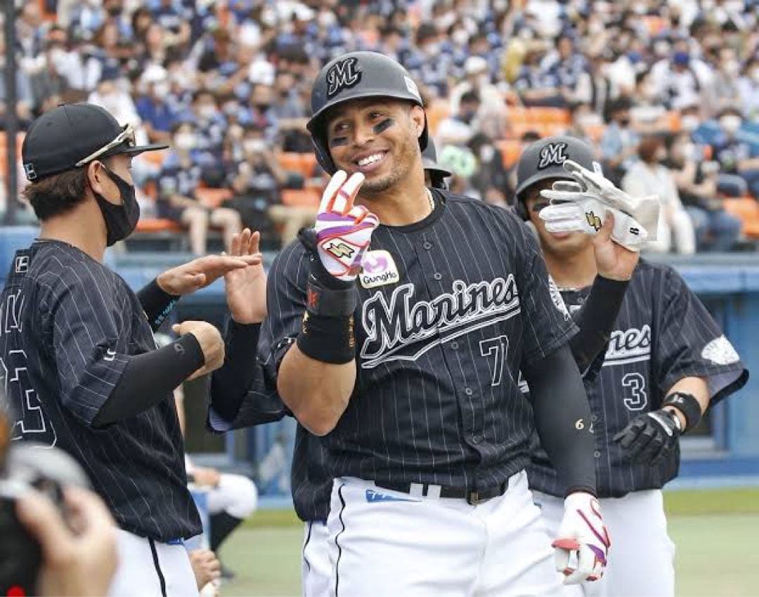 千葉ロッテマリーンズ　マーティン #79　バット NPBマーク 支給品　実使用