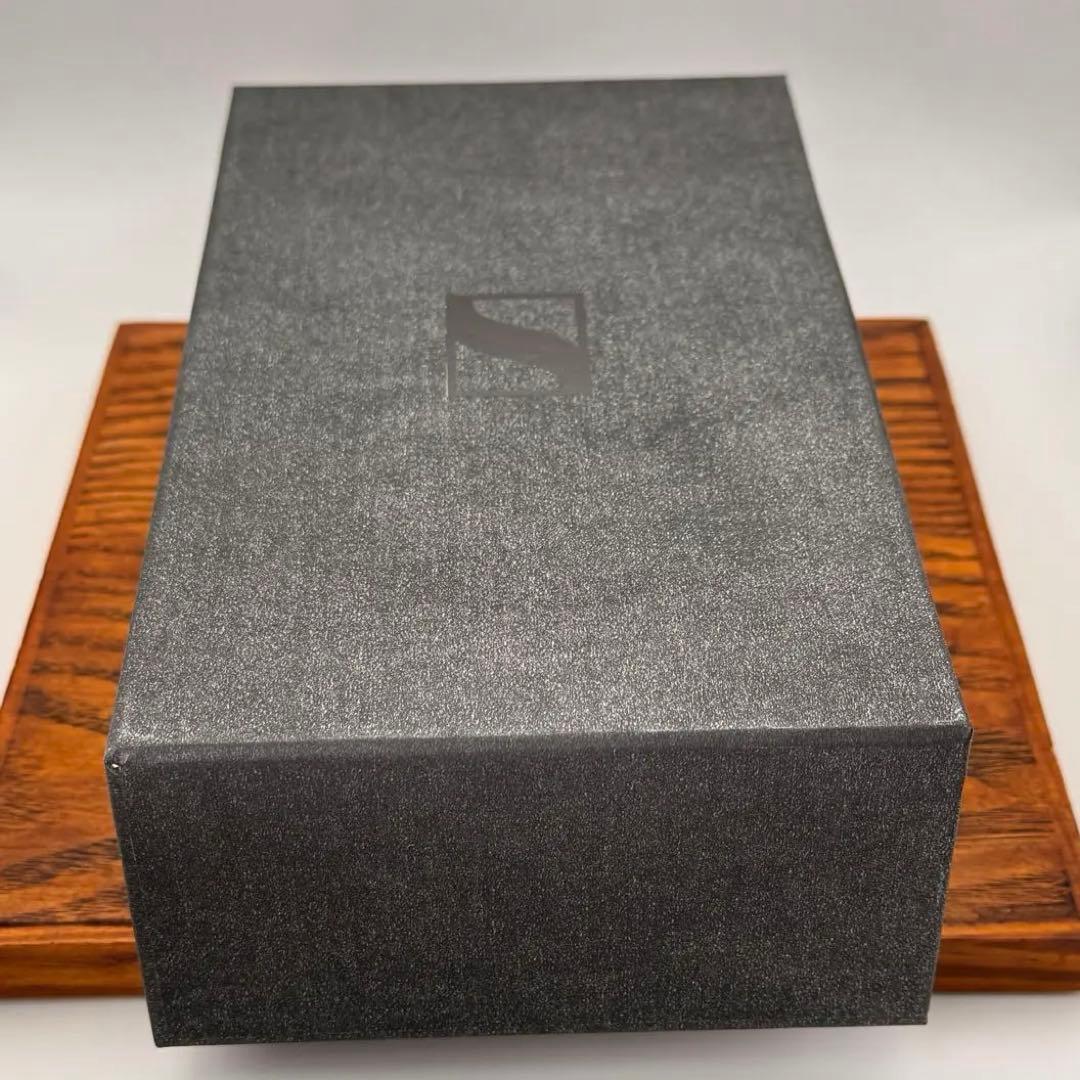 Sennheiser IE 600 ハイエンド有線イヤホン 付属品完備 2024