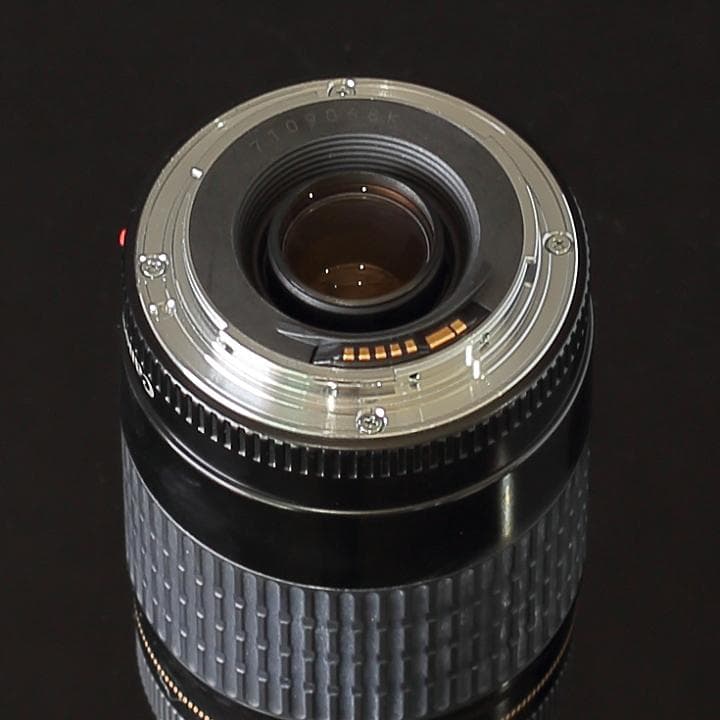 美品CANON純正定番望遠レンズEF75-300mm f/4-5:6 USM搭載