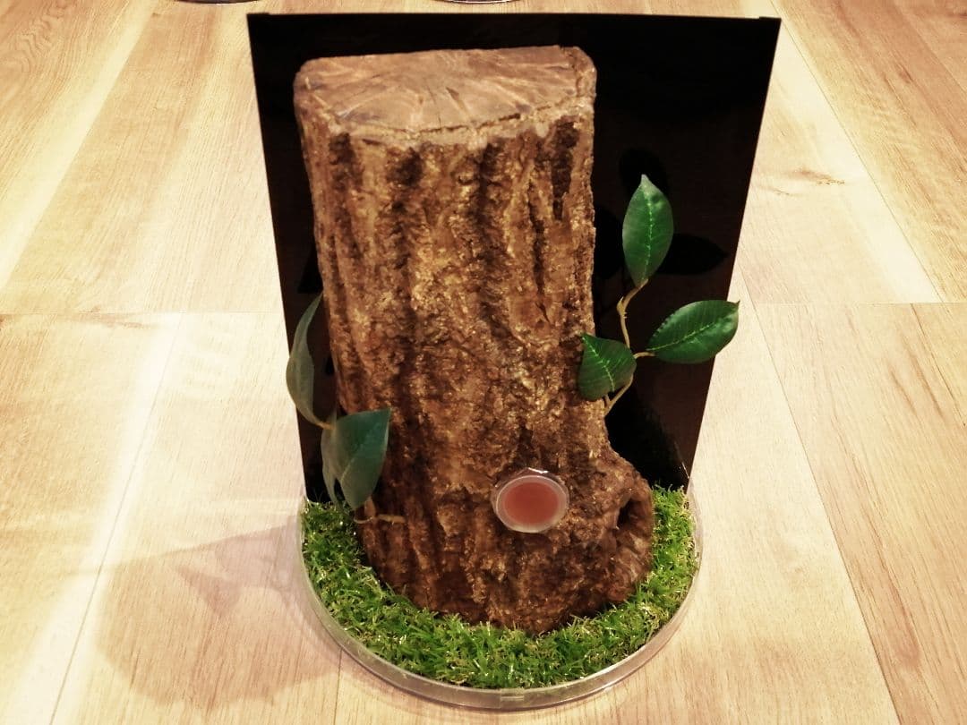 新リアルタイプ！オオクワ　壁掛け　飼育　テラリウム　2022 クワガタ