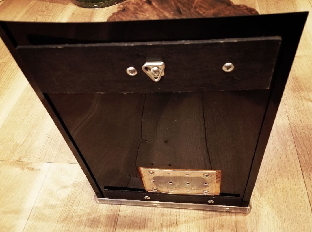 新リアルタイプ！オオクワ　壁掛け　飼育　テラリウム　2022 クワガタ