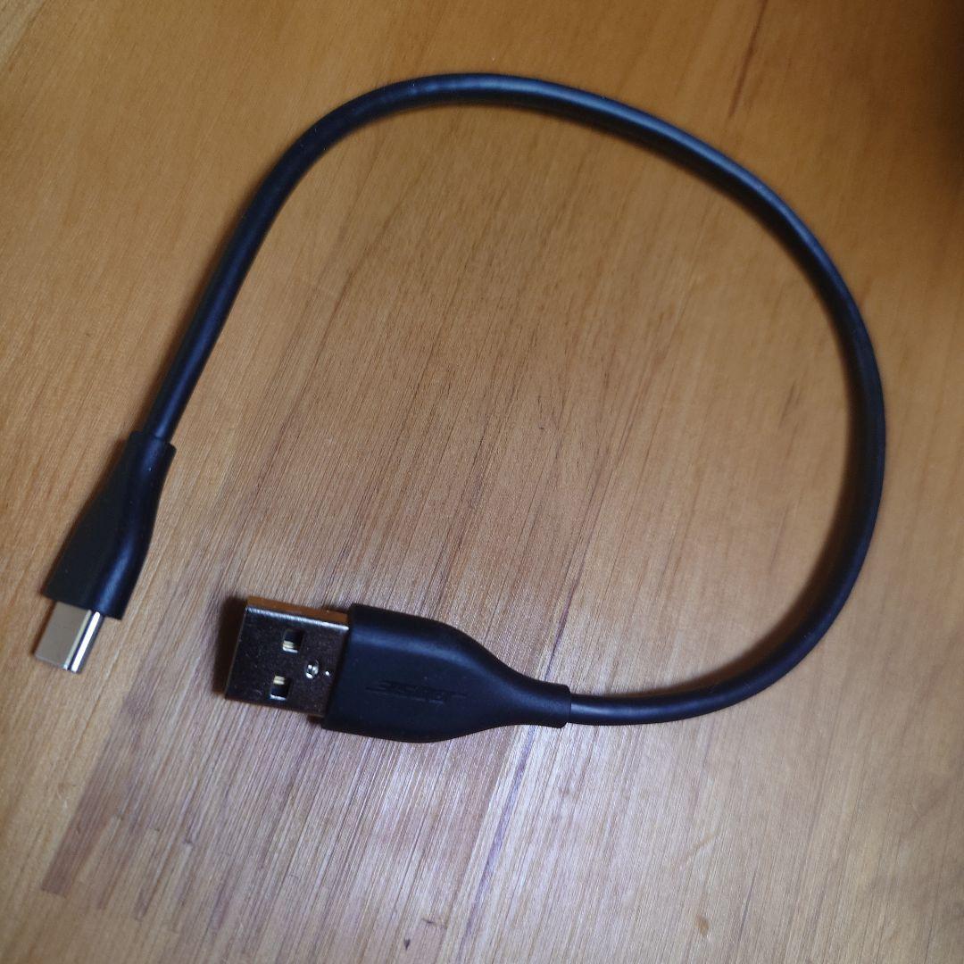 BOSE Ultra Open Earbuds ルナブルー 2025年8月購入品