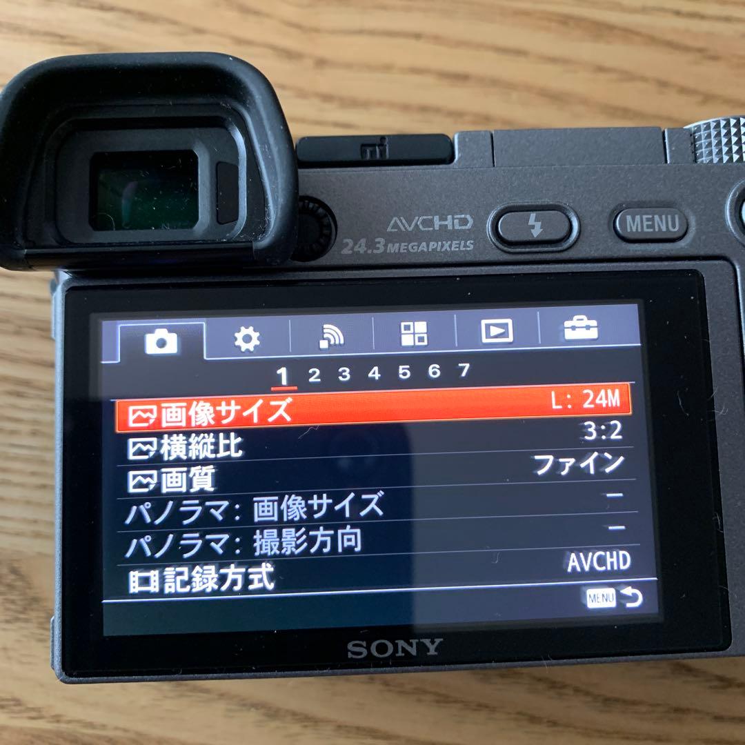 ム*イ様 SONY α6000 グラファイト　BODY