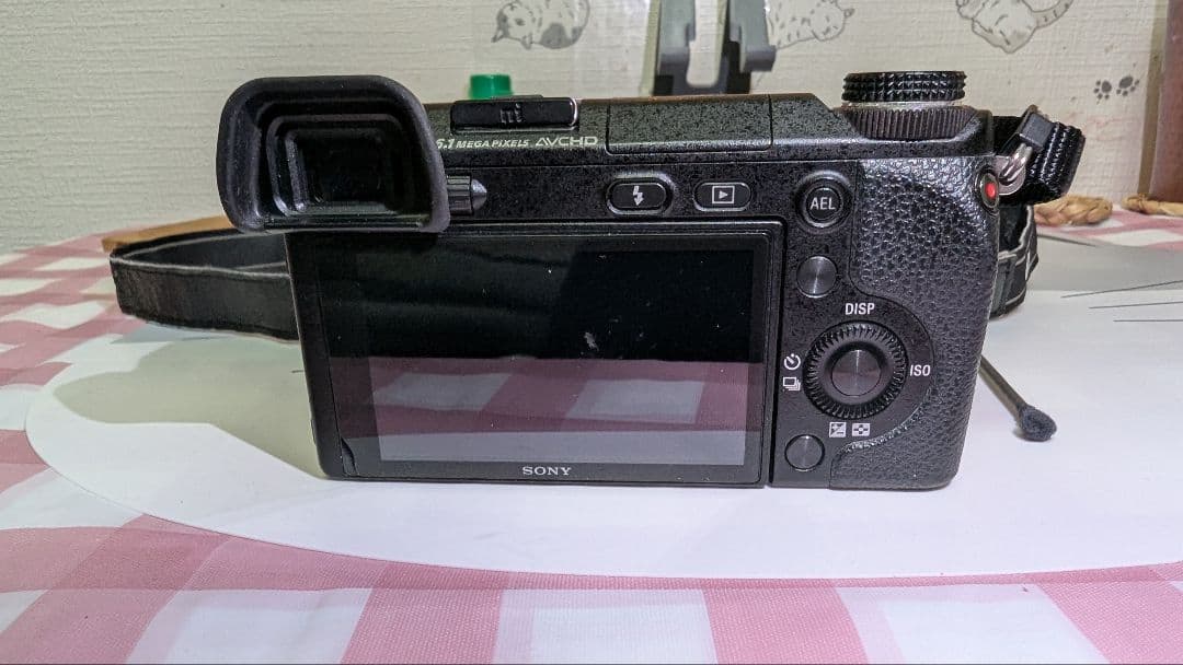 ソニーnex 6 ピンクの猫。