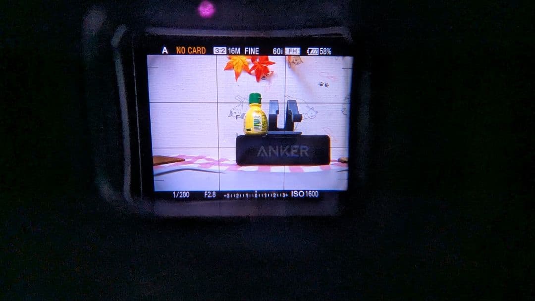 ソニーnex 6 ピンクの猫。