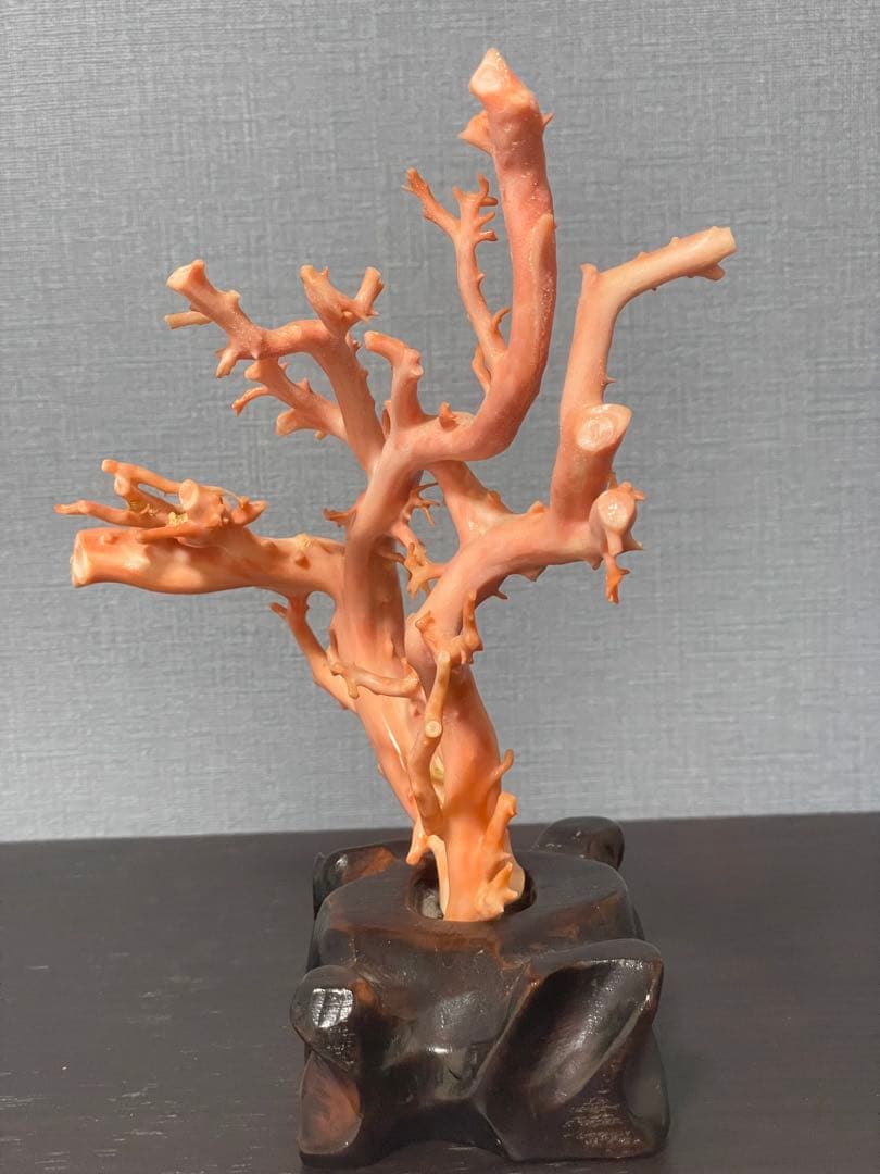 ピンクサンゴの置物 木製台座付き高さ20cm ぐらい　0340001T