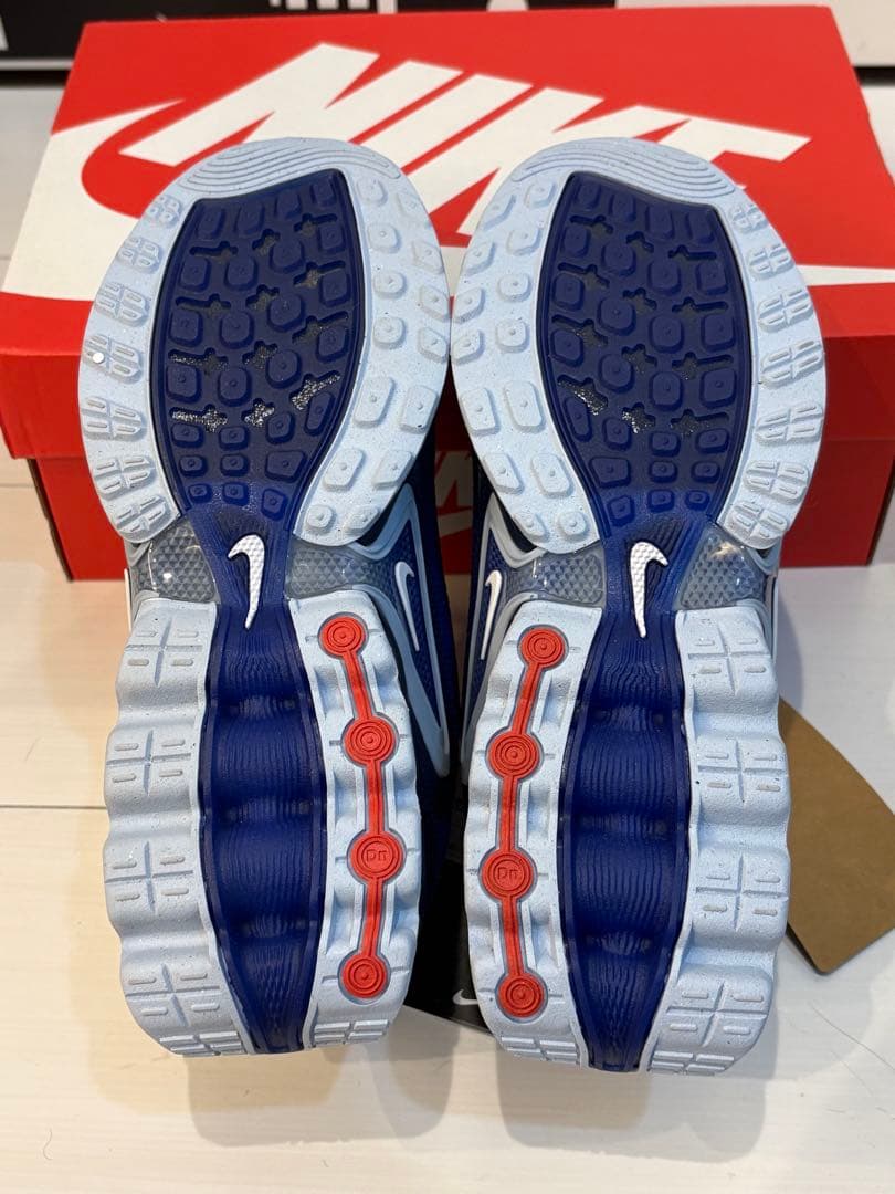 パルさん専用ナイキAIR MAX Dn 22.5 FB8987-400 2足