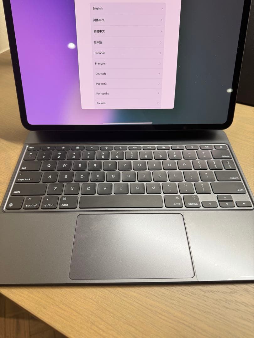 バ*グ様 iPad Pro M4 13 cellular 2TB Keyboar