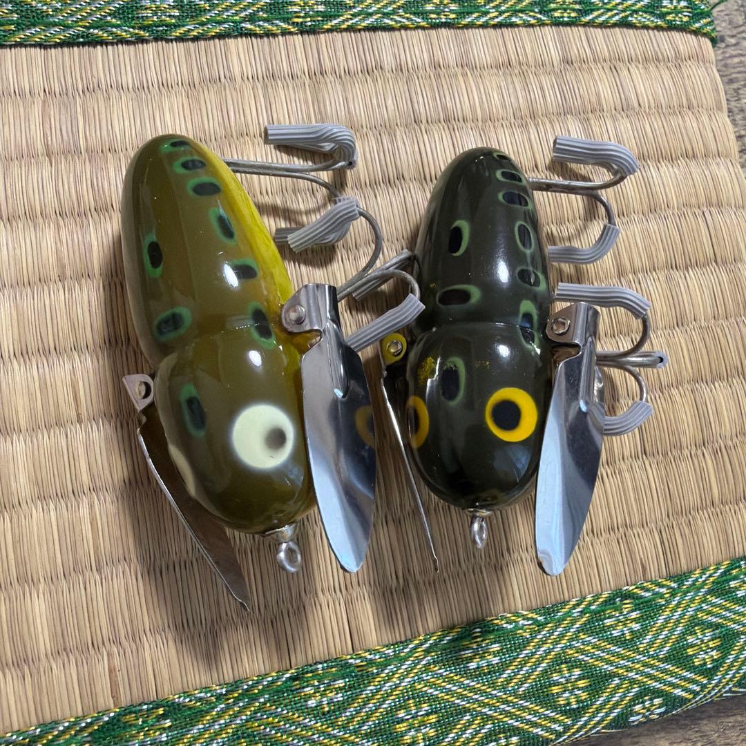 レア個体！スケスケ！ オールド ヘドン クレイジークローラー BFカラー