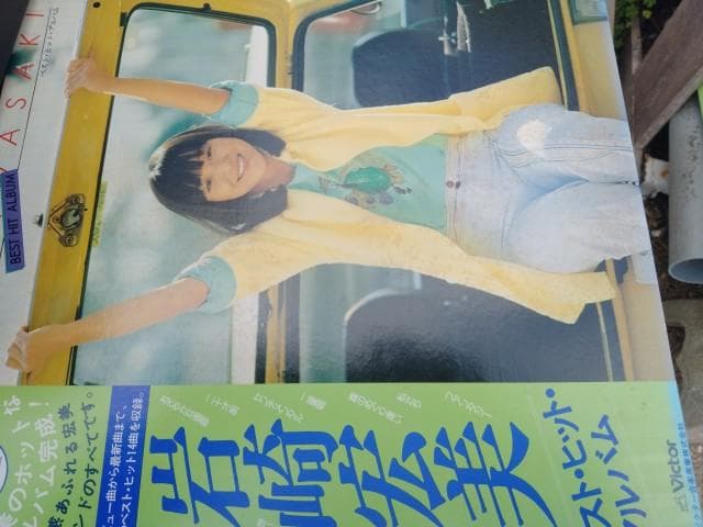 日本ビクター　 MS-503 難ありですが良好音