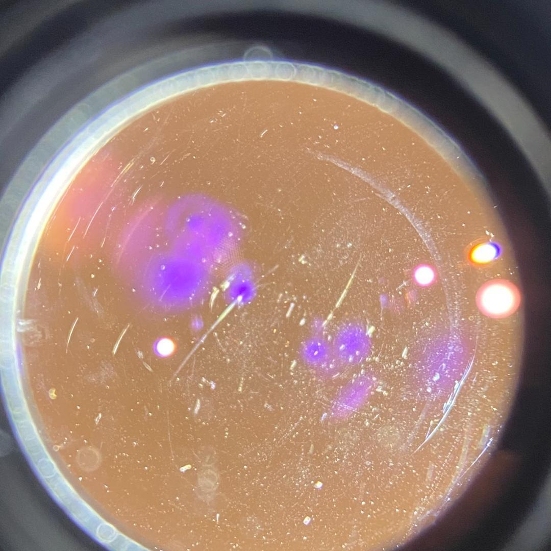 レンズ(単焦点) Summicron M50mm f2.0 2nd Black Chrome