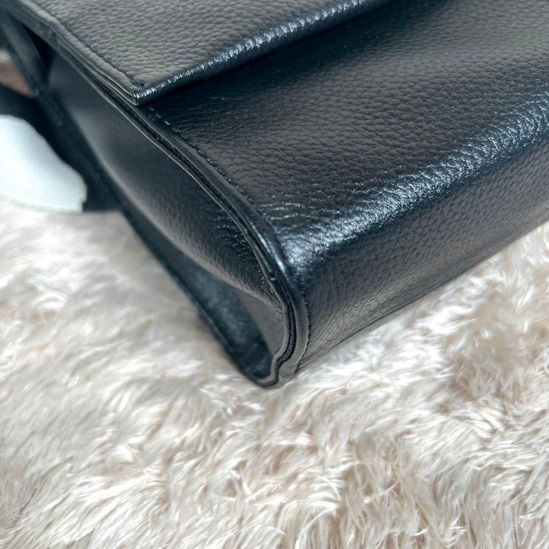 極美品✨ イアパピヨネ　ワイドテープ　ショルダーバッグ　ダルメシアン柄